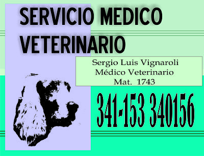 Servicio Veterinario Domicilio Rosario